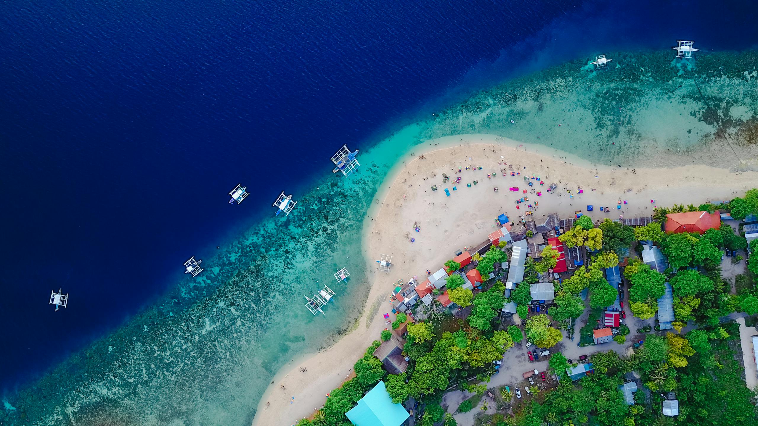A stunning aerial view of Oslob Beach, Cebu, with vibrant blue waters and lush greenery.